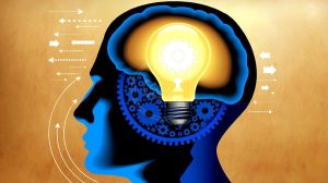 Desarrollando inteligencia
