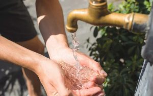 Varios sobre la naturaleza