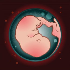 Salud fetal
