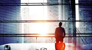 Desarrollo profesional